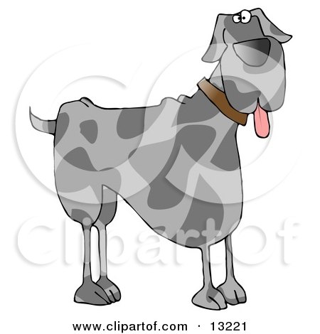 Friendly Great Dane Dog Hanging its Tongue Out Clipart Illustration by djart