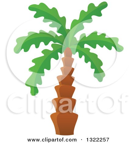 Clipart of a Tropical Palm Tree - Royalty Free Vector Illustration by visekart