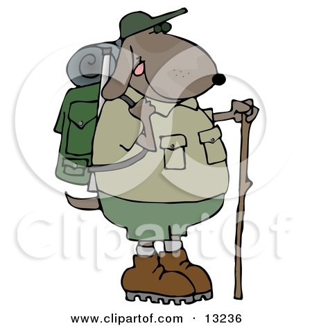 Dog Using a Hiking Stick While Backpacking With Camping Gear Clipart Illustration by djart