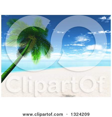 Clipart of a 3d Tropical Beach with a Leaning Palm Tree - Royalty Free Illustration by KJ Pargeter