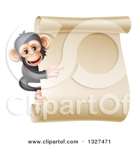 Clipart of a Happy Chimpanzee Monkey Clinging to the Side of a Blank Parchment Scroll and Pointing - Royalty Free Vector Illustration by AtStockIllustration