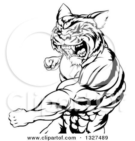 Clipart of a Black and White Vicious Roaring Muscular Tiger Man Punching 2 - Royalty Free Vector Illustration by AtStockIllustration