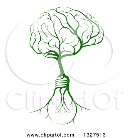 Clipart of a Green Tree with Light Bulb Roots and a Brain Canopy - Royalty Free Vector Illustration by AtStockIllustration