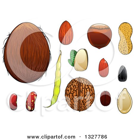 Clipart of a Cartoon Coconut, Almond, Hazelnut, Pistachio, Coffee Bean, Peanuts, Sunflower Seed, Pumpkin Seed, Walnut, and Beans - Royalty Free Vector Illustration by Vector Tradition SM