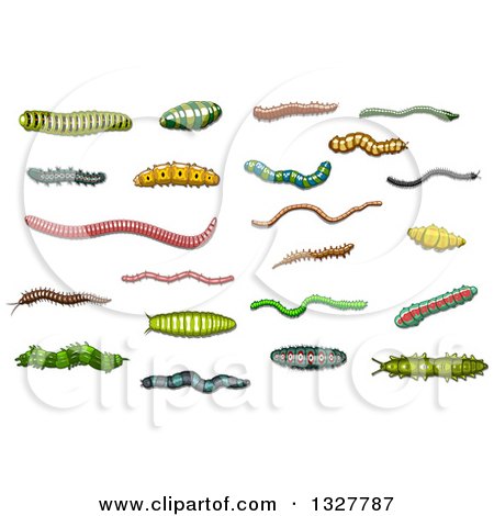 Clipart of Cartoon Grubs, Worms and Caterpillars - Royalty Free Vector Illustration by Vector Tradition SM