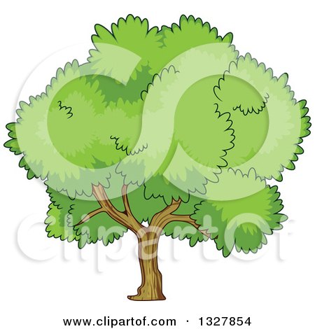 Clipart of a Cartoon Tree with a Lush, Green, Mature Canopy - Royalty Free Vector Illustration by Vector Tradition SM