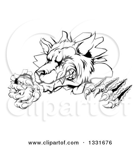 Clipart of a Black and White Ferocious Wolf Slashing and Breaking Through a Wall 3 - Royalty Free Vector Illustration by AtStockIllustration