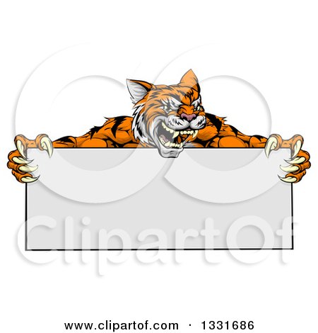 Clipart of a Cartoon Aggressive Tiger Sports Mascot Holding a Blank Wide Sign 2 - Royalty Free Vector Illustration by AtStockIllustration