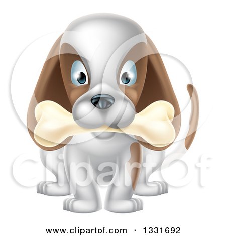 Clipart of a Cartoon Happy White and Brown Dog Sitting with a Bone in His Mouth - Royalty Free Vector Illustration by AtStockIllustration