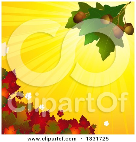 Clipart of 3d Green Oak Leaves with Acorns over Yellow Sun Rays and Autumn Foliage - Royalty Free Vector Illustration by elaineitalia