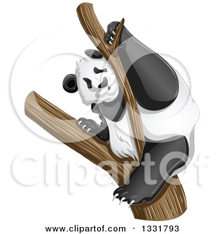 Clipart of a Panda Climbing a Tree - Royalty Free Vector Illustration by Liron Peer