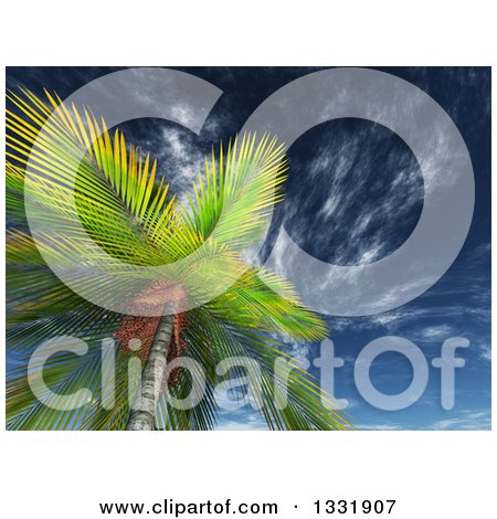 Clipart of a 3d View Looking up at a Tropical Palm Tree Against Blue Sky with Wispy Clouds - Royalty Free Illustration by KJ Pargeter