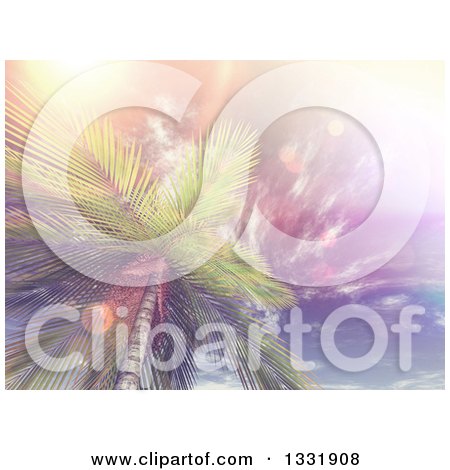 Clipart of a 3d View Looking up at a Tropical Palm Tree Against Sky with Wispy Clouds and Vintage Flares - Royalty Free Illustration by KJ Pargeter