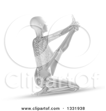 Clipart of a 3d Grayscale Anatomical Woman with Visible Skeleton, Stretching in a Yoga Pose, on White - Royalty Free Illustration by KJ Pargeter