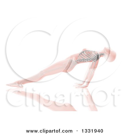 Clipart of a 3d Pink Anatomical Woman Stretching in a Yoga Pose, Her Arms Under Her, with Visible Skeleton, on White - Royalty Free Illustration by KJ Pargeter