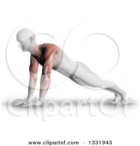 Clipart of a 3d Anatomical Man Stretching in a Yoga Pose, or Doing Push Ups, with Visible Arm and Shoulder Muscles, on Shaded White - Royalty Free Illustration by KJ Pargeter
