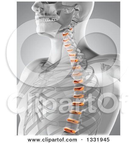 Clipart of a 3d Anatomical Male Xray with Glowing Spinal Disks, on Gray - Royalty Free Illustration by KJ Pargeter