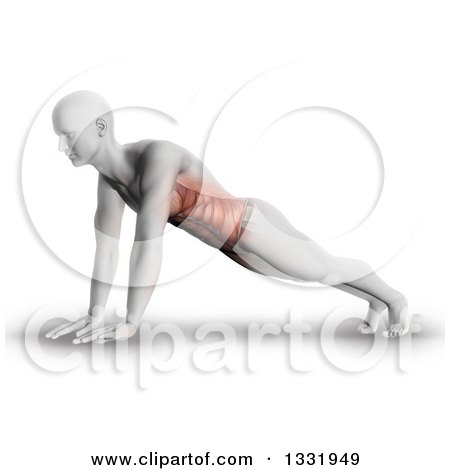 Clipart of a 3d Anatomical Man Stretching in a Yoga Pose, or Doing Push Ups, with Visible Front Side Muscles, on Shaded White - Royalty Free Illustration by KJ Pargeter