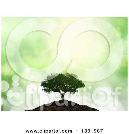 Clipart of a 3d Mature Tree on a Hill over Green Flares - Royalty Free Illustration by KJ Pargeter