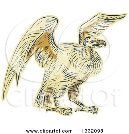 Clipart of a Retro Sketched or Engraved Turkey Vulture Buzzard Condor Bird - Royalty Free Vector Illustration by patrimonio