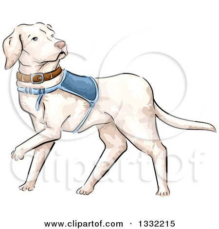 Clipart of a Walking White Guide Dog - Royalty Free Vector Illustration by BNP Design Studio