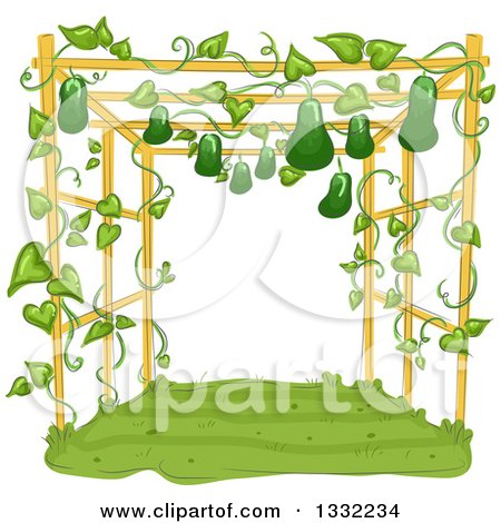 Clipart of a Garden Trellis with Gourds Growing and Hanging - Royalty Free Vector Illustration by BNP Design Studio
