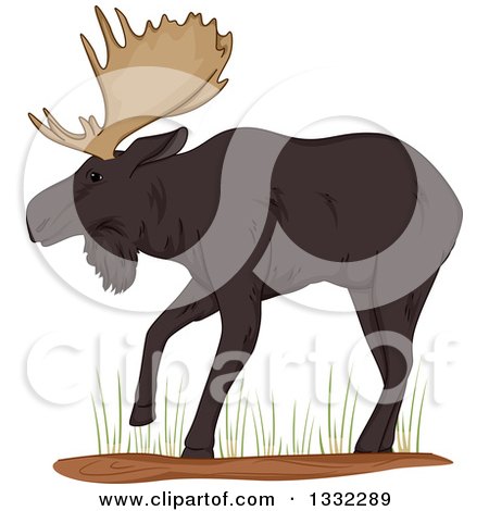 Clipart of a Walking Moose in Grass - Royalty Free Vector Illustration by BNP Design Studio
