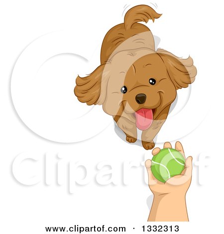Clipart of a Boy's Hand Holding a Tennis Ball over a Dog - Royalty Free Vector Illustration by BNP Design Studio