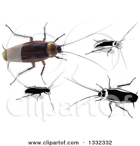 Clipart of 3d and Grayscale Cockroaches - Royalty Free Vector Illustration by dero
