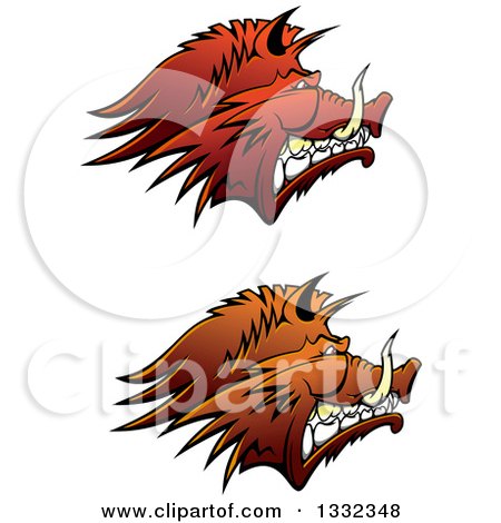 Clipart of Brown Snarling Vicious Razorback Boar Mascot Heads in Profile - Royalty Free Vector Illustration by Vector Tradition SM