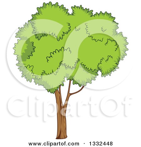 Clipart of a Cartoon Tree with a Lush, Green, Mature Canopy 2 - Royalty Free Vector Illustration by Vector Tradition SM