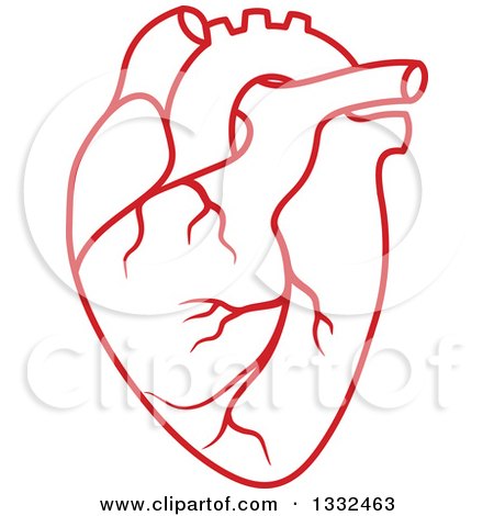 Clipart of a Red Human Heart 3 - Royalty Free Vector Illustration by Vector Tradition SM