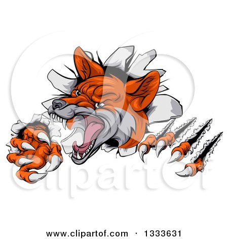 Clipart of a Vicious Fox Slashing Through a Wall - Royalty Free Vector Illustration by AtStockIllustration