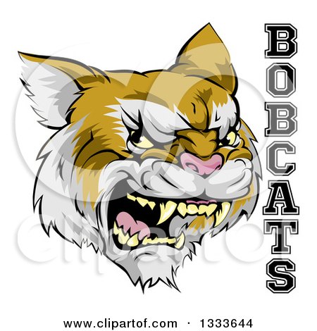 Clipart of a Roaring Aggressive Bobcat Mascot Head and Text - Royalty Free Vector Illustration by AtStockIllustration