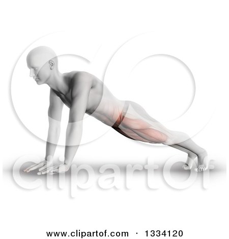 Clipart of a 3d Anatomical Man Stretching in a Yoga Pose, or Doing Push Ups, with Visible Leg and Ab Muscles, on Shaded White - Royalty Free Illustration by KJ Pargeter
