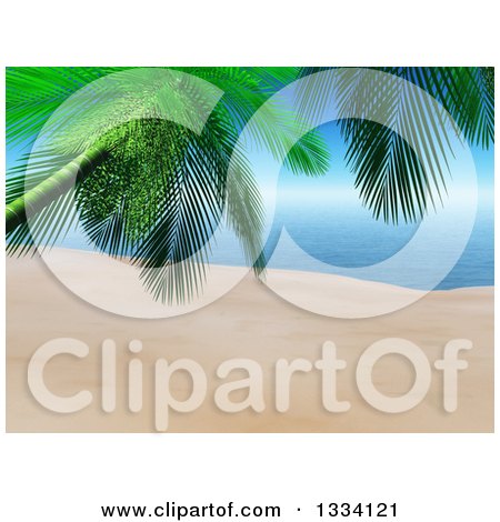 Clipart of a 3d Tropical Island Beach with White Sand, a Palm Tree in the Foreground and Blue Water with Sky - Royalty Free Illustration by KJ Pargeter