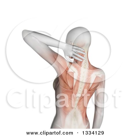 Clipart of a 3d Rear View of an Anatomical Woman with Visible Muscles, Grasping Her Painful Neck, over White - Royalty Free Illustration by KJ Pargeter