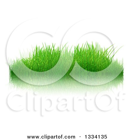 Clipart of a 3d Patch of Fresh Green Grass over White with a Reflection - Royalty Free Illustration by KJ Pargeter