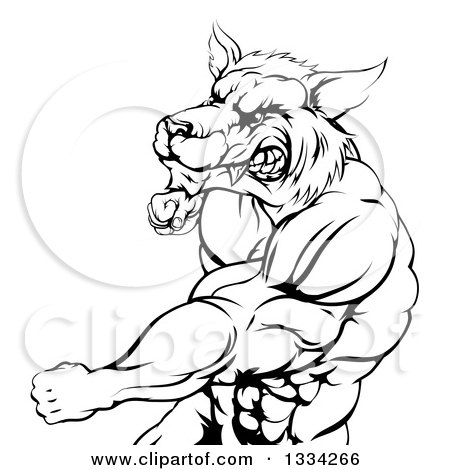 Clipart of a Black and White Vicious Muscular Wolf Man Swinging a Punch - Royalty Free Vector Illustration by AtStockIllustration