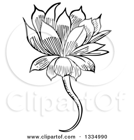 Clipart of a Black and White Woodcut Herbal Medicinal Houseleek Plant - Royalty Free Vector Illustration by Picsburg