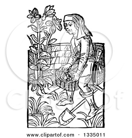 Clipart of a Black and White Woodcut Medieval Man Carrying a Basket in a Garden - Royalty Free Vector Illustration by Picsburg