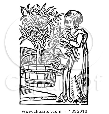https://images.clipartof.com/small/1335012-Clipart-Of-A-Black-And-White-Woodcut-Medieval-Woman-Watering-A-Potted-Tree-Royalty-Free-Vector-Illustration.jpg