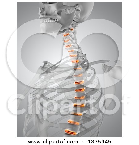 Clipart of a 3d Anatomical Male Xray with Glowing Spinal Disks, on Gray 2 - Royalty Free Illustration by KJ Pargeter