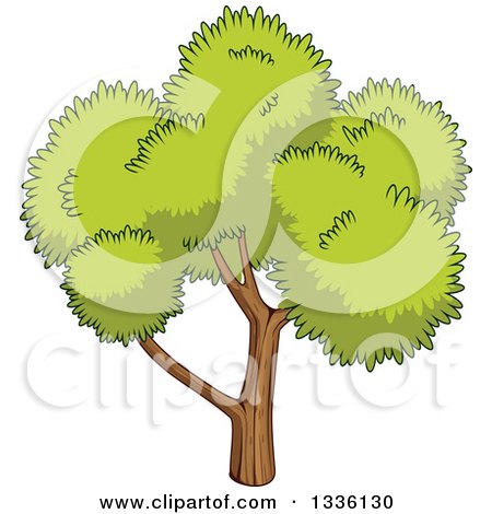 Clipart of a Cartoon Tree with a Lush, Green, Mature Canopy 3 - Royalty Free Vector Illustration by Vector Tradition SM