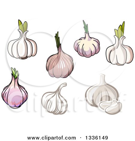 Clipart of Cartoon Garlic Bulbs - Royalty Free Vector Illustration by Vector Tradition SM