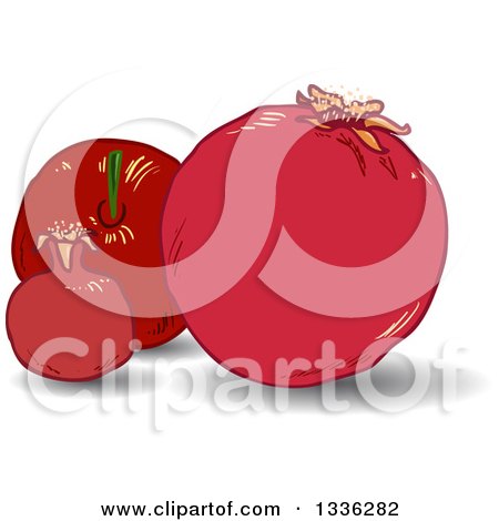 Clipart of a Rosh Hashanah Pomegranate Fruits - Royalty Free Vector Illustration by Liron Peer