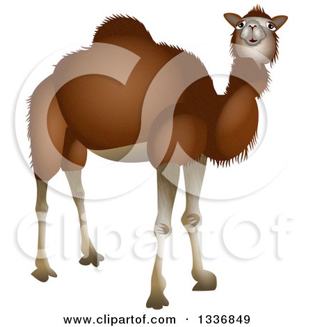 Clipart of a Curious Dark Brown Camel - Royalty Free Illustration by Prawny