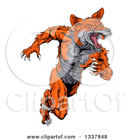 Clipart of a Tough Muscular Fox Man Sprinting - Royalty Free Vector Illustration by AtStockIllustration
