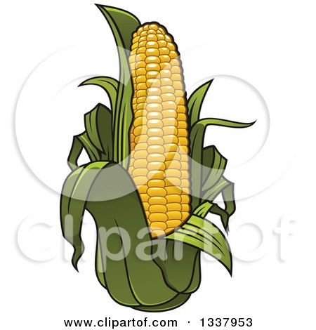 Clipart of a Cartoon Corn and Leaves - Royalty Free Vector Illustration by Vector Tradition SM