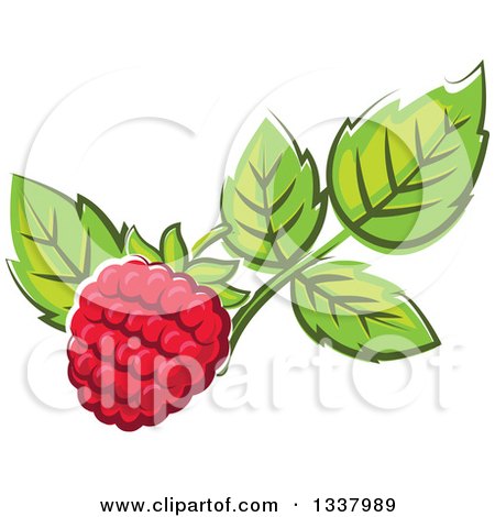 Clipart of a Cartoon Raspberry and Leaves - Royalty Free Vector Illustration by Vector Tradition SM